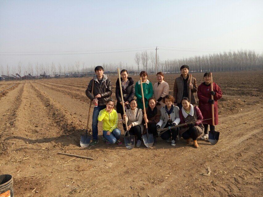 博農(nóng)集團(tuán)領(lǐng)導(dǎo)、基層黨政負(fù)責(zé)人等同志積極參加植樹活動(dòng)