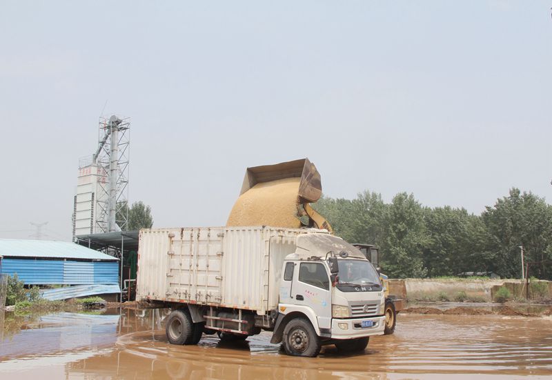 博農(nóng)集團(tuán) “我為群眾辦實(shí)事”農(nóng)業(yè)支部在行動